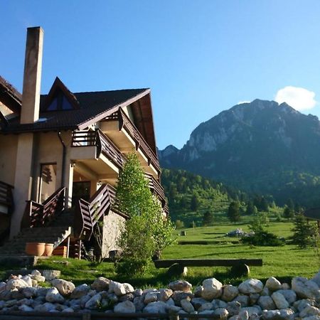 Taverna Pietrei Craiului Zărneşti Bagian luar foto