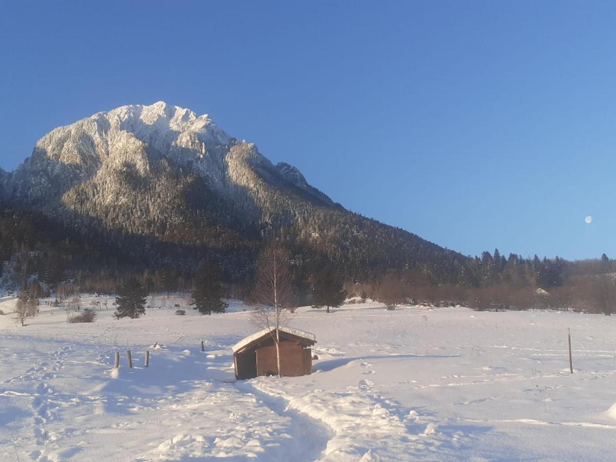 Taverna Pietrei Craiului Zărneşti Bagian luar foto